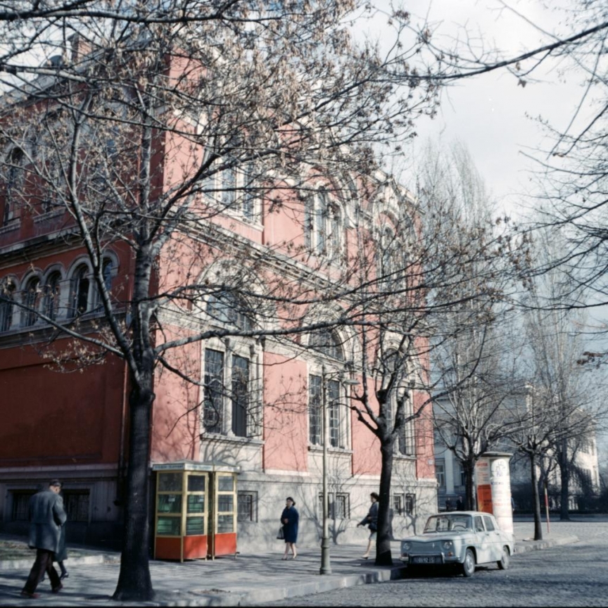 Фотограф Панайот Бърнев, Милена Николова