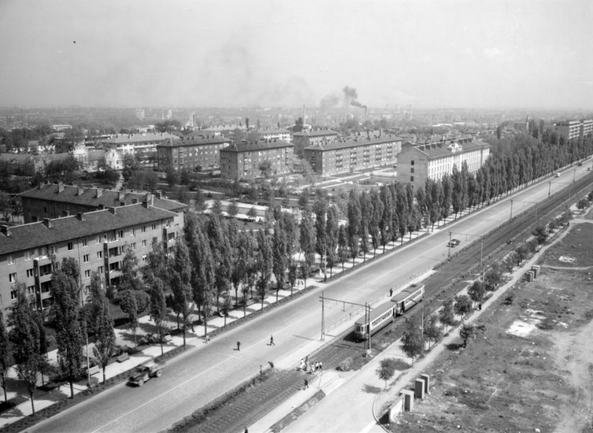 Фотограф Панайот Бърнев, Милена Николова