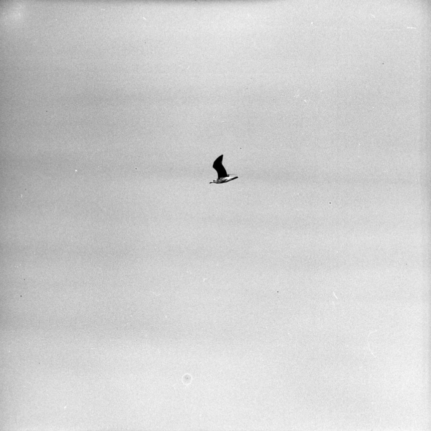 Фотограф Панайот Бърнев, Милена Николова