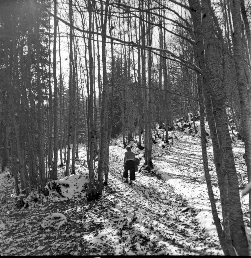 Фотограф Панайот Бърнев, Милена Николова