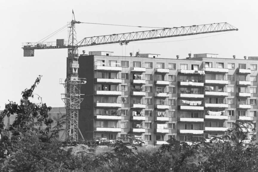 Фотограф Панайот Бърнев, Милена Николова