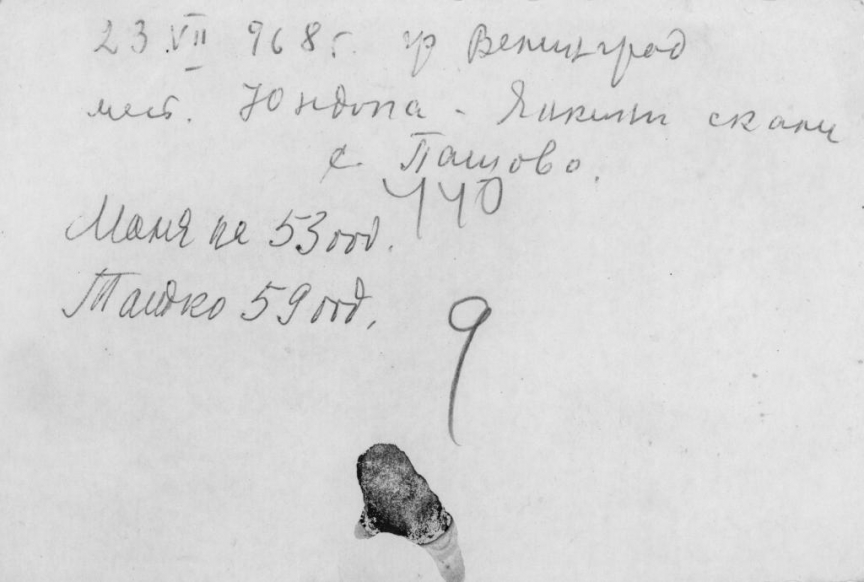, БВА