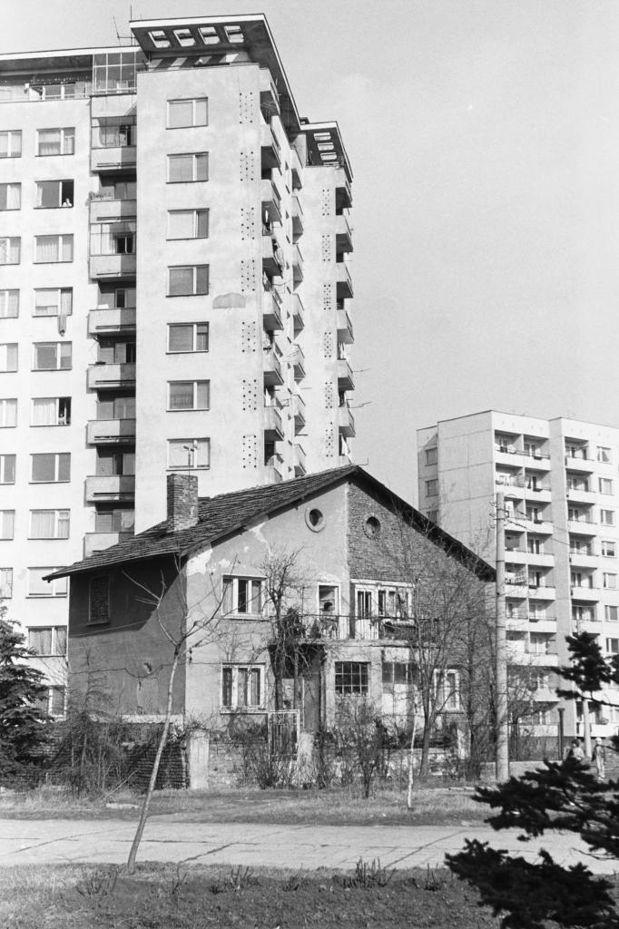 фотограф Панайот Бърнев, Милена Николова