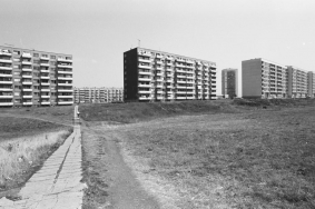 Фотограф Панайот Бърнев, Милена Николова