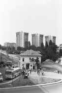 Фотограф Панайот Бърнев, Милена Николова