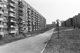 Фотограф Панайот Бърнев, Милена Николова