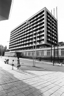 Фотограф Панайот Бърнев, Милена Николова