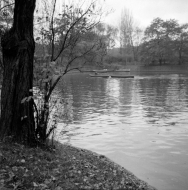 Езерото Ариана, Борисова градина, Фотограф Панайот Бърнев, Милена Николова