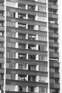 Фотограф Панайот Бърнев, Милена Николова
