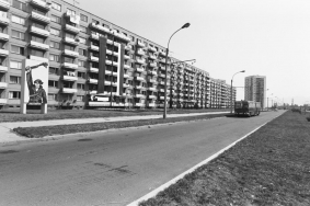 Фотограф Панайот Бърнев, Милена Николова