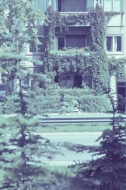 Фотограф Панайот Бърнев, Милена Николова