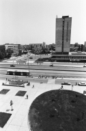 Фотограф Панайот Бърнев, Милена Николова